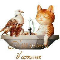 amour